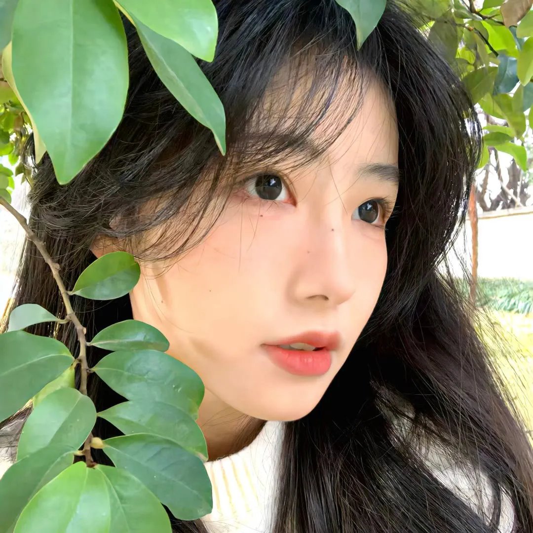 少狼