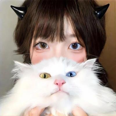 泡芙小姐第二季